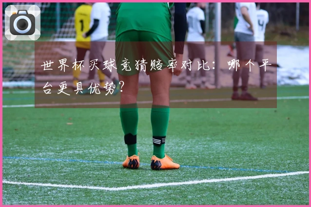 世界杯买球竞猜赔率对比：哪个平台更具优势？