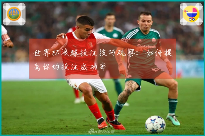 世界杯滚球投注技巧观察：如何提高你的投注成功率