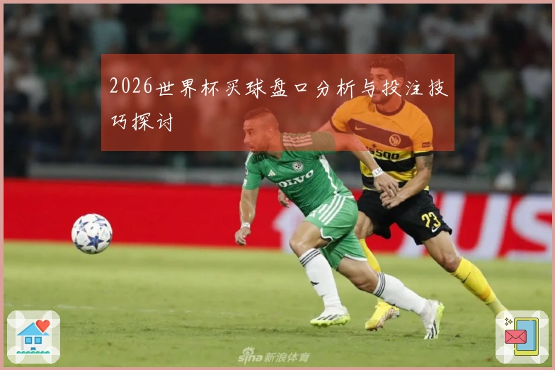 2026世界杯买球盘口分析与投注技巧探讨