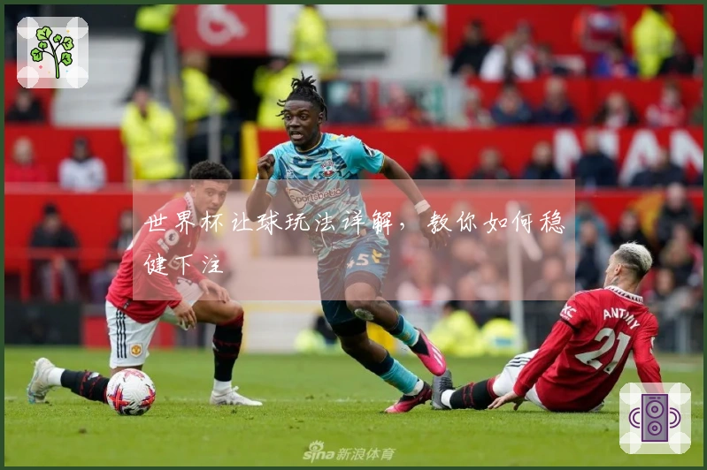世界杯让球玩法详解，教你如何稳健下注