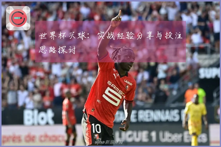 世界杯买球：实战经验分享与投注思路探讨