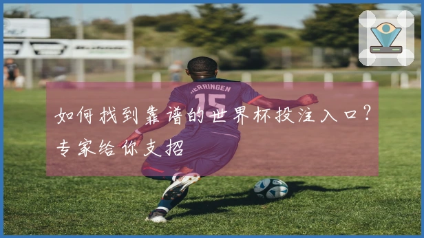 如何找到靠谱的世界杯投注入口？专家给你支招