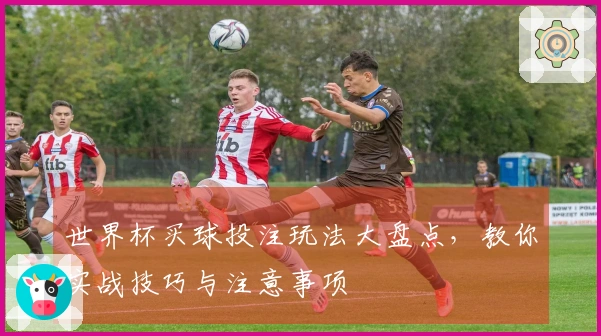 世界杯买球投注玩法大盘点，教你实战技巧与注意事项