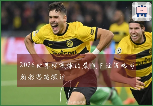 2026世界杯滚球的最佳下注策略与购彩思路探讨