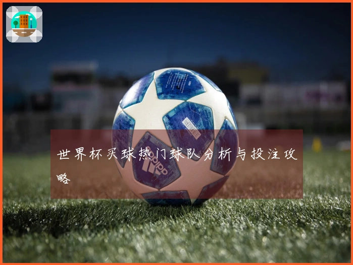世界杯买球热门球队分析与投注攻略
