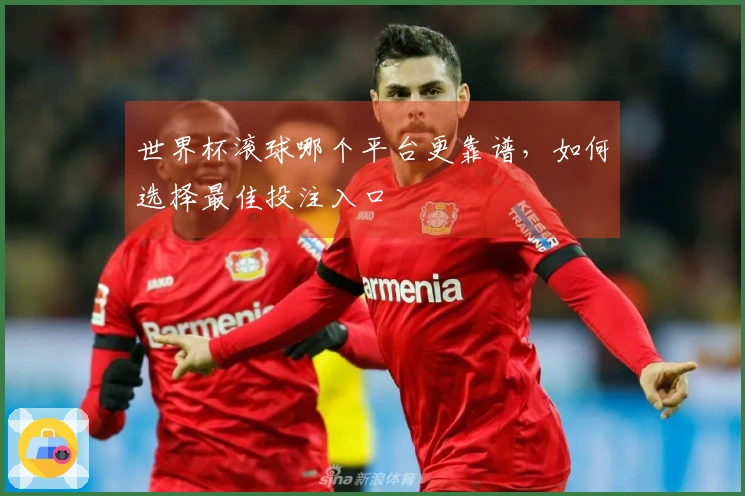 世界杯滚球哪个平台更靠谱，如何选择最佳投注入口