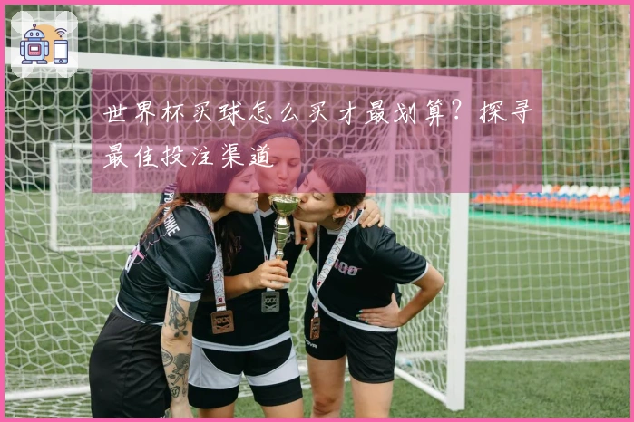 世界杯买球怎么买才最划算？探寻最佳投注渠道