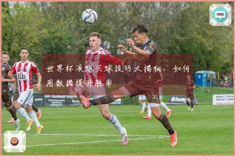 世界杯滚球买球技巧大揭秘，如何用数据提升胜率