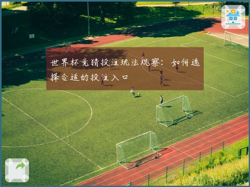 世界杯竞猜投注玩法观察：如何选择合适的投注入口
