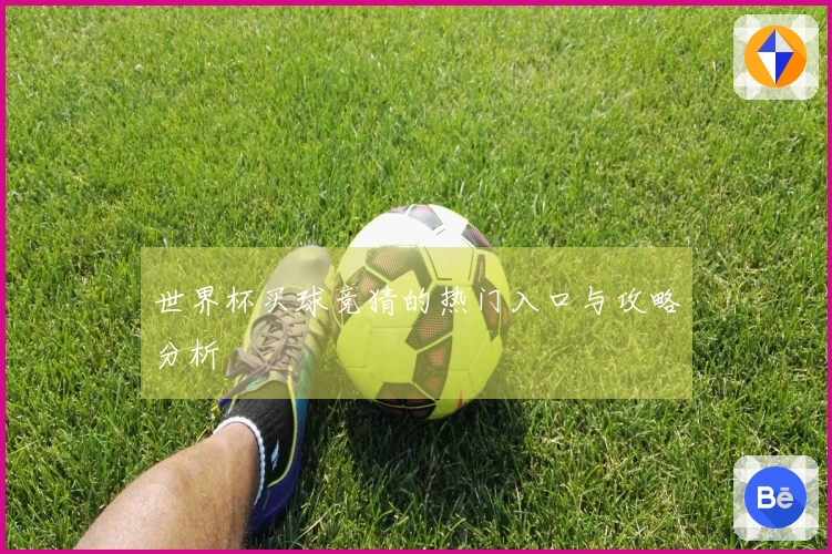 世界杯买球竞猜的热门入口与攻略分析