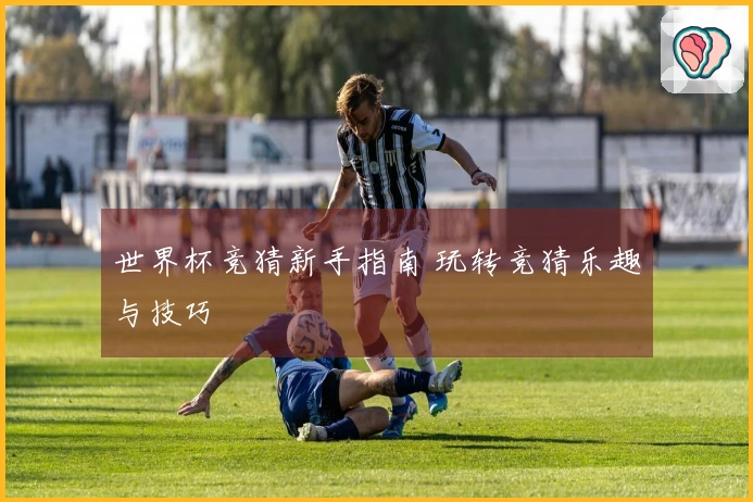 世界杯竞猜新手指南 玩转竞猜乐趣与技巧