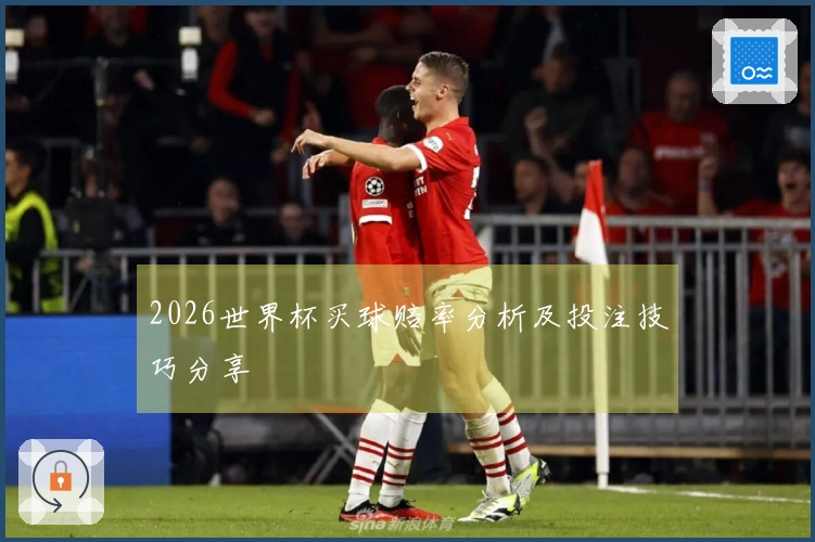 2026世界杯买球赔率分析及投注技巧分享