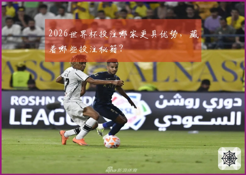 2026世界杯投注哪家更具优势，藏着哪些投注秘籍？