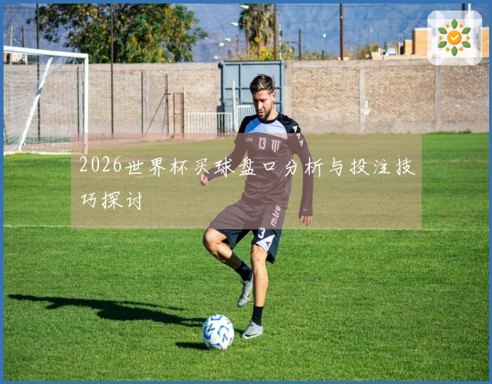 2026世界杯买球盘口分析与投注技巧探讨